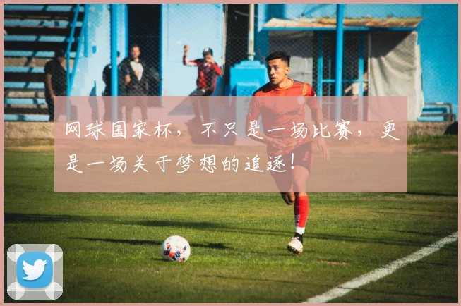 网球国家杯，不只是一场比赛，更是一场关于梦想的追逐！